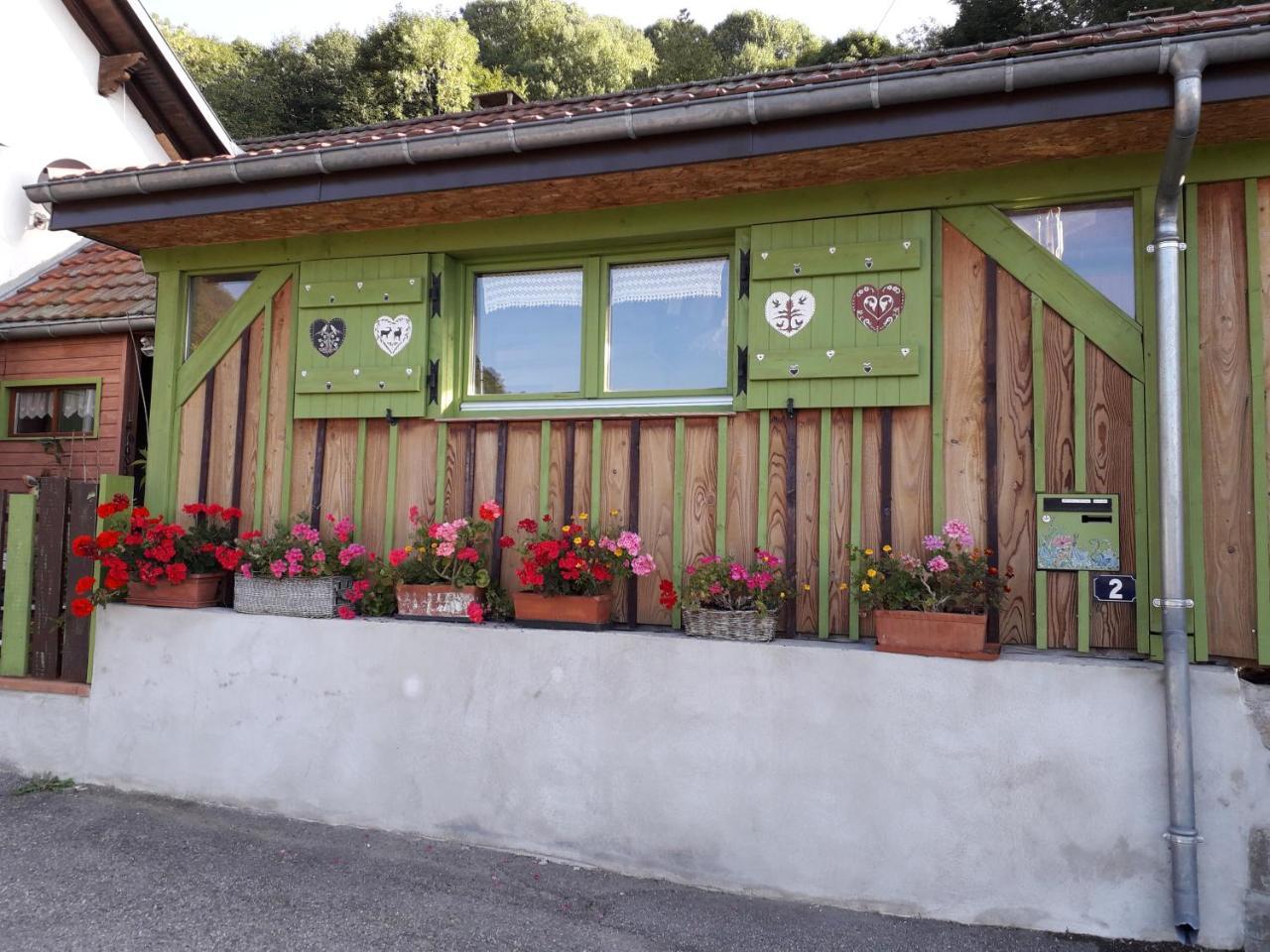 Bed and Breakfast Les Lupins Geishouse Exteriér fotografie
